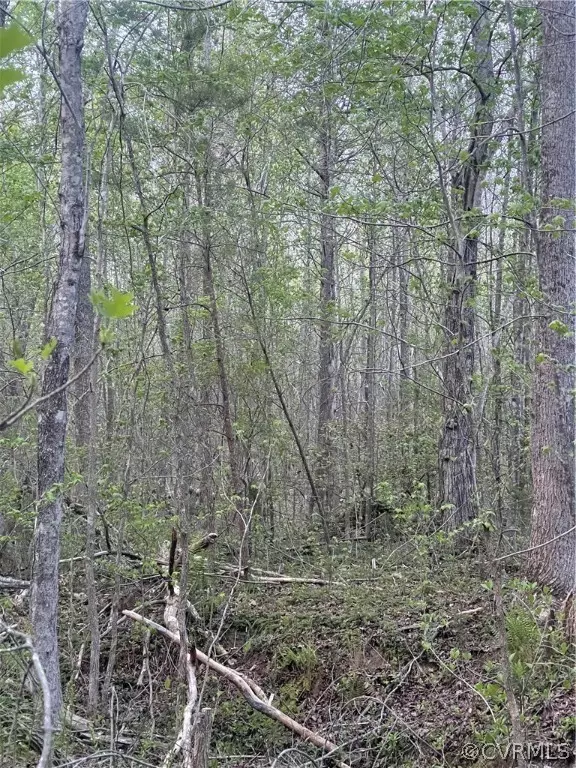 Buckingham, VA 23921,00 Union Hill RD