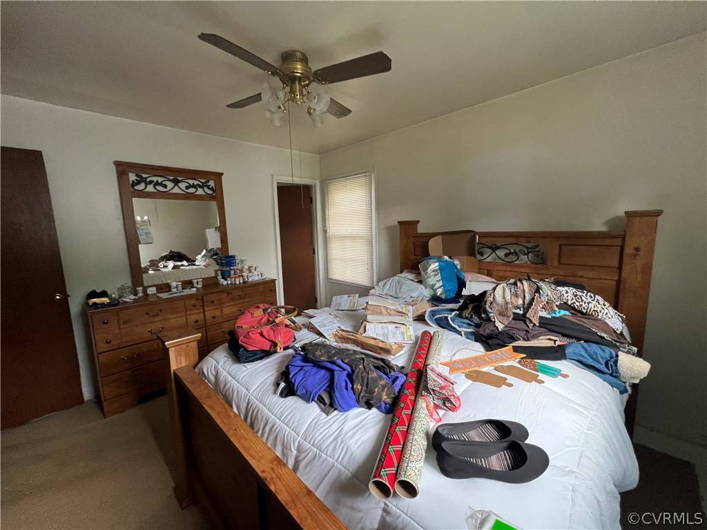 Chesterfield, VA 23237,5619 English Setter CT