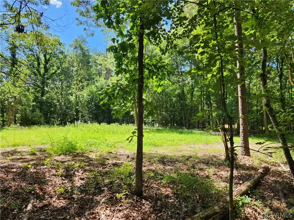 Lot 1 Walnut Shade Road, Louisa, VA 23093