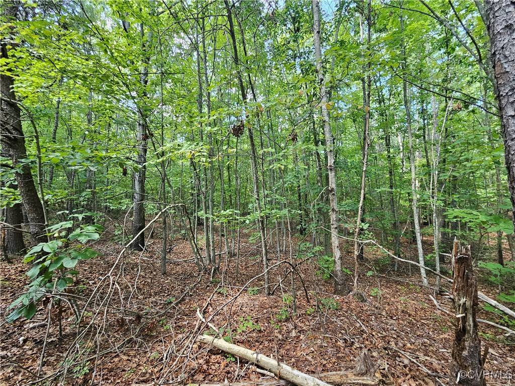 Gladstone, VA 24553,000 W James Anderson HWY