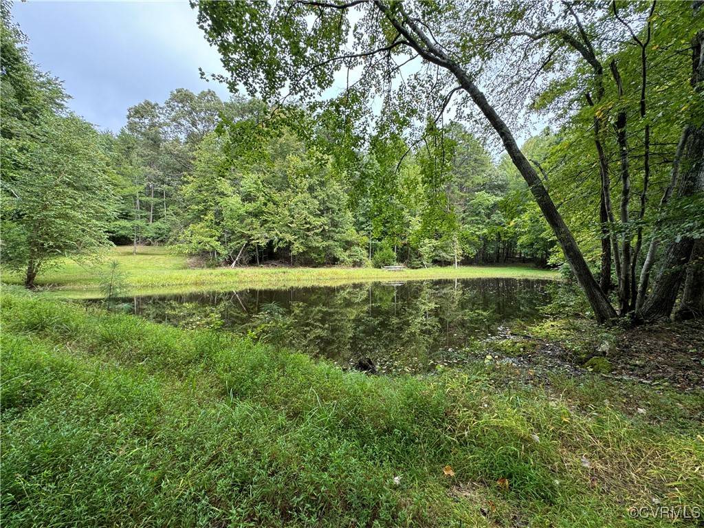 Lot 0110 Mountain Track Rd, Orange, VA 22960