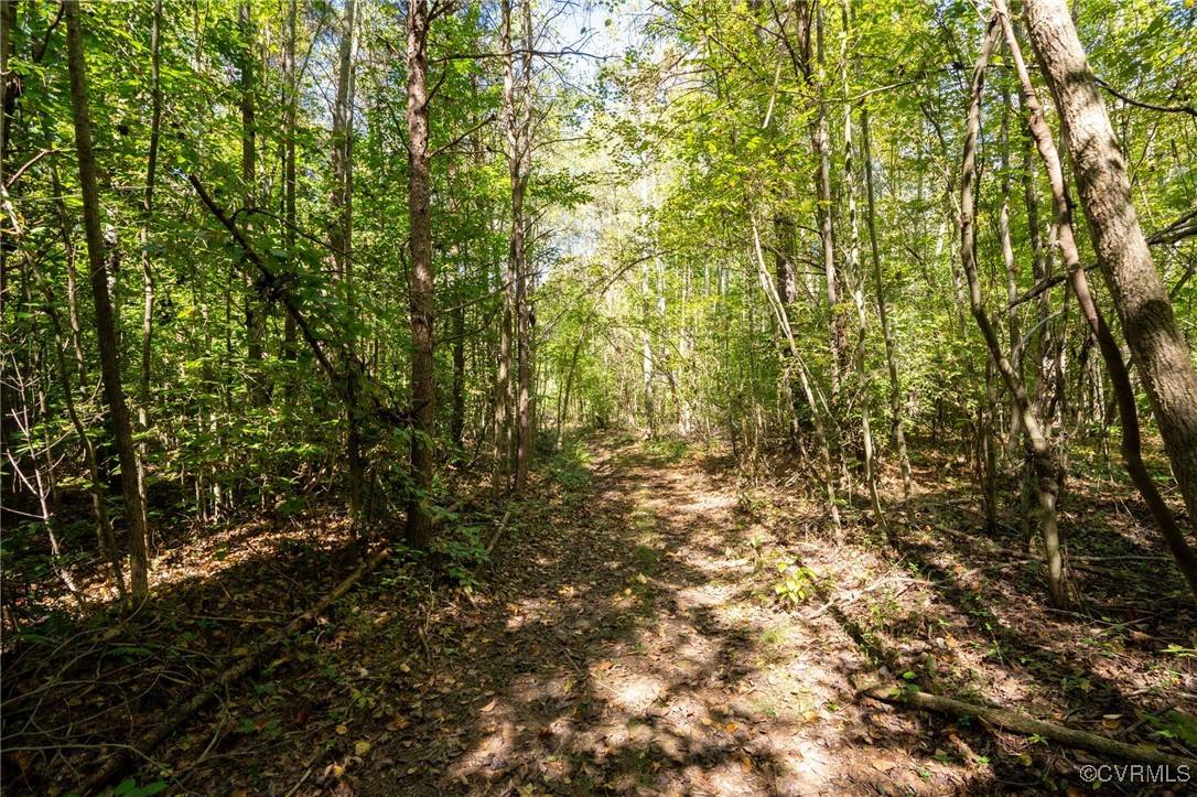 Beaverdam, VA 23015,00 Beaver Dam RD