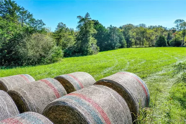 Crozier, VA 23039,1200 The Forest