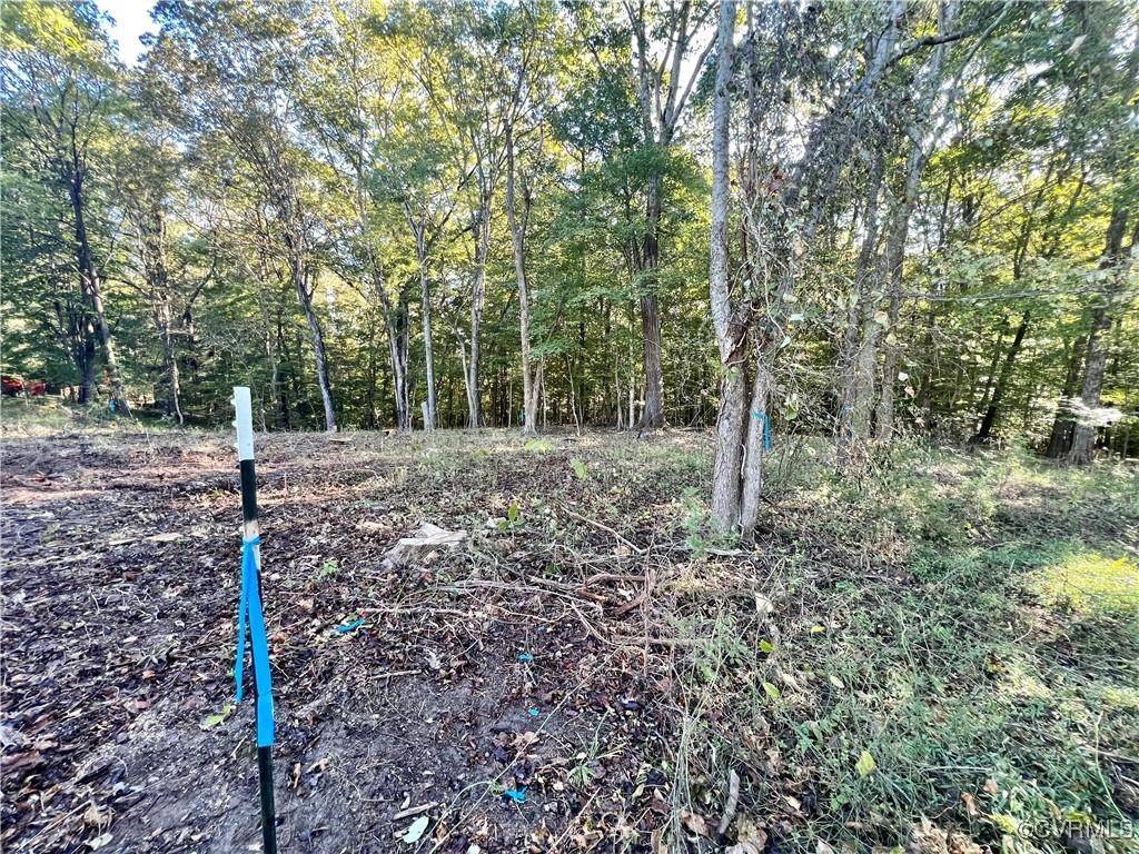 Farmville, VA 23901,00 Vernon ST