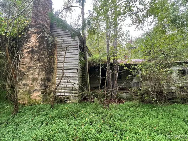 Brodnax, VA 23920,00 Tower RD