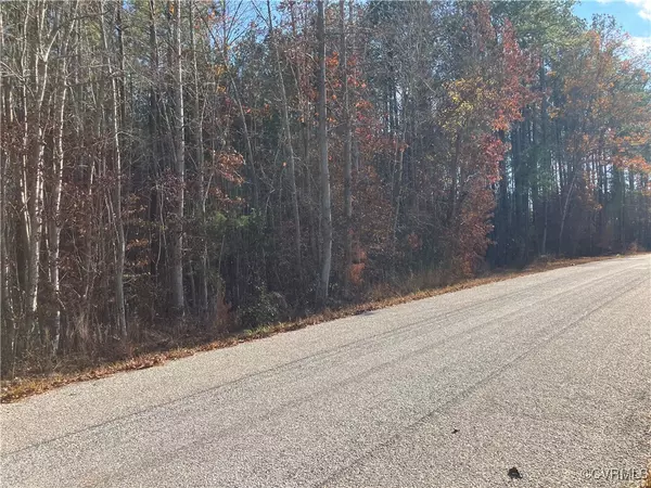 Brodnax, VA 23920,5.65 Renrut RD