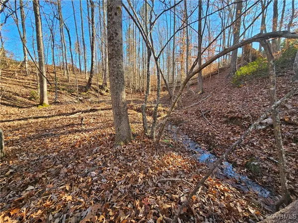 Wingina, VA 24599,TBD Shelton Store RD
