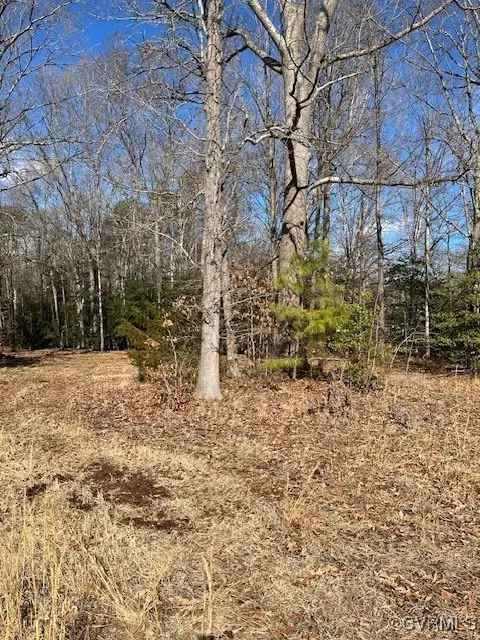 Mechanicsville, VA 23116,0000 Anderson Ct.