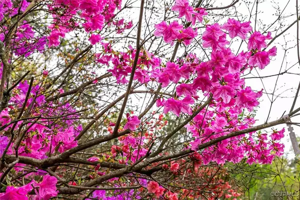 Henrico, VA 23229,505 Baldwin RD