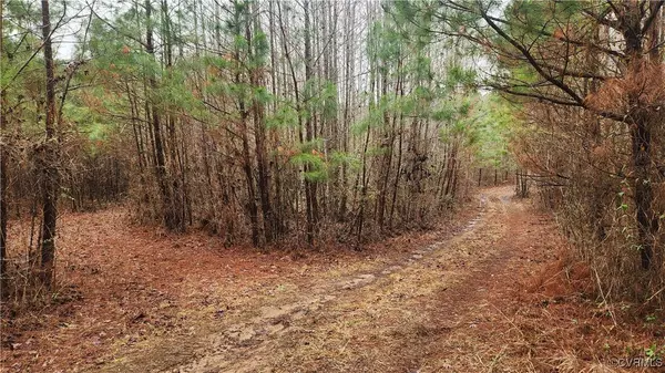 Alberta, VA 23821,TBD Flat Rock RD