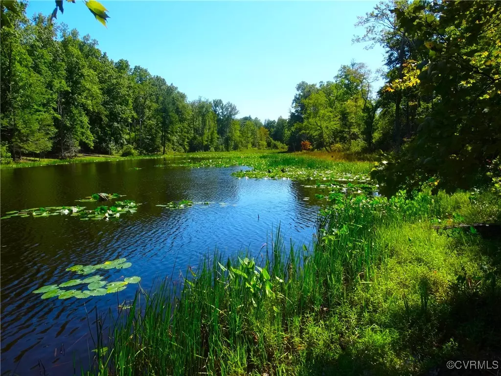 Caret, VA 22436,00 Walnut Shade RD