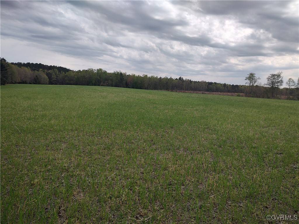 Dewitt, VA 23840,TBD Old White Oak Rd.