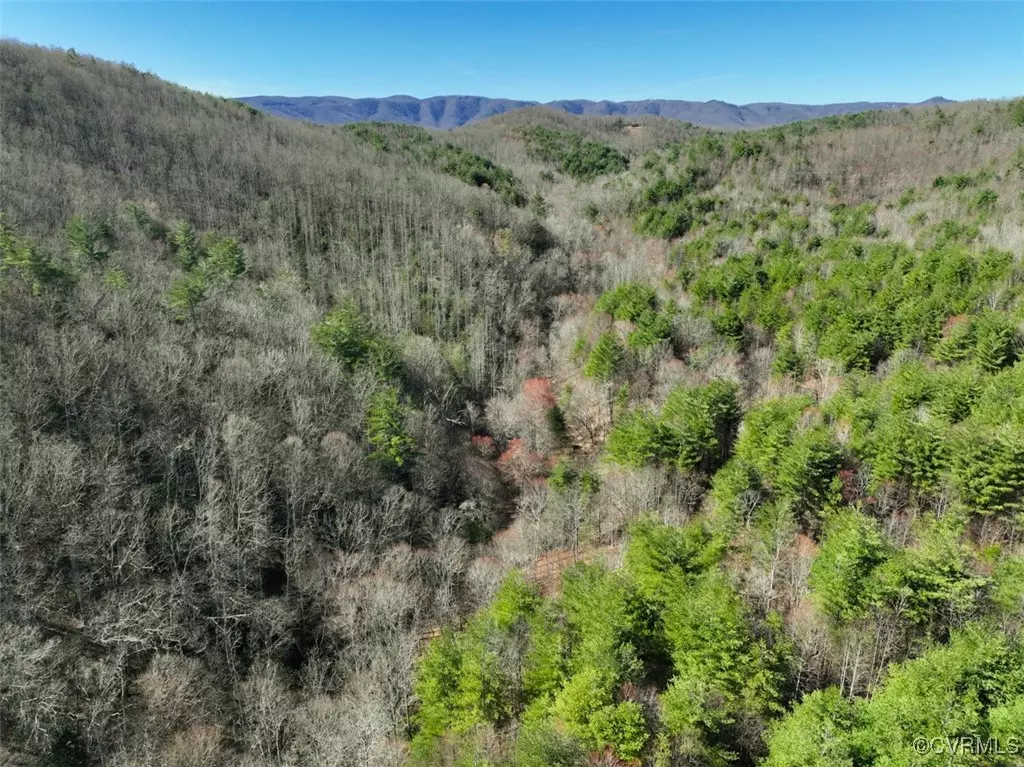 Stuart, VA 24171,180 Acres (Off Of) Willard Creek Lane