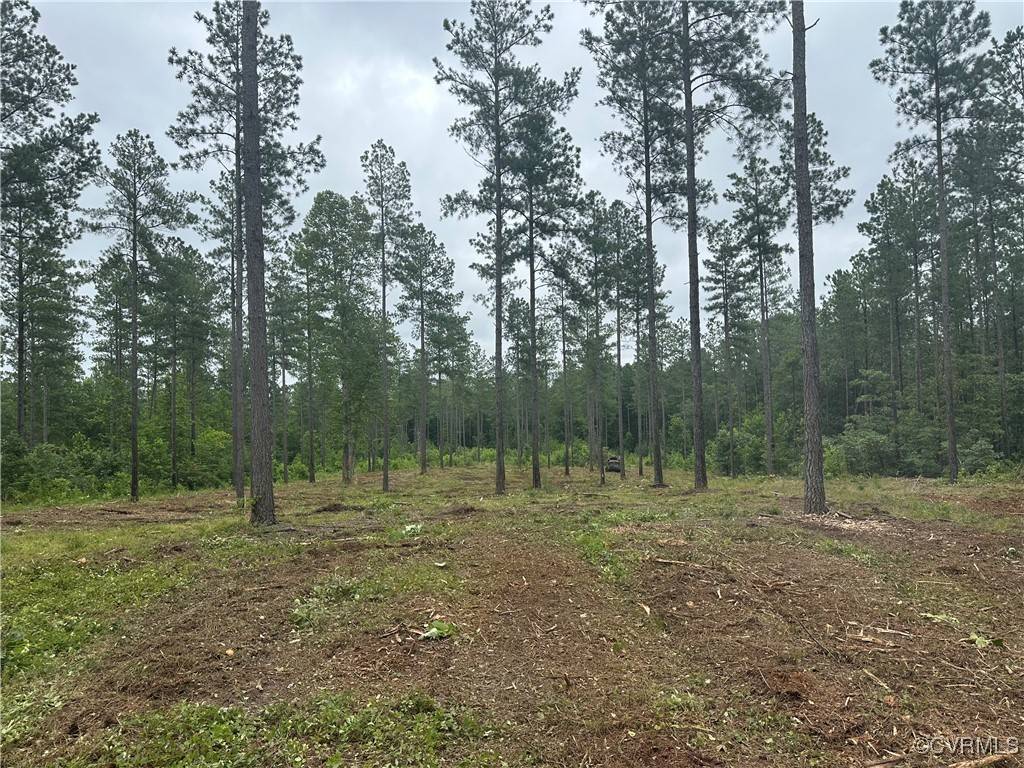 Lot 4 Three Chopt Road, Gum Spring, VA 23065