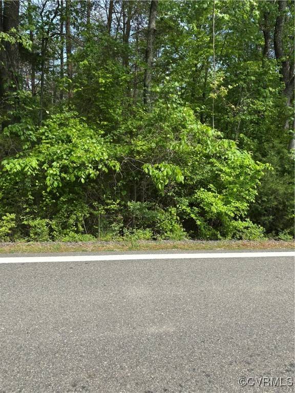 Powhatan, VA 23139,21.9 Acres Old Buckingham