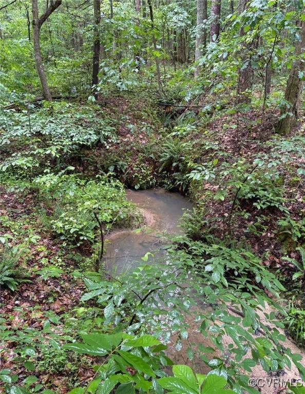 Powhatan, VA 23139,21.9 Acres Old Buckingham