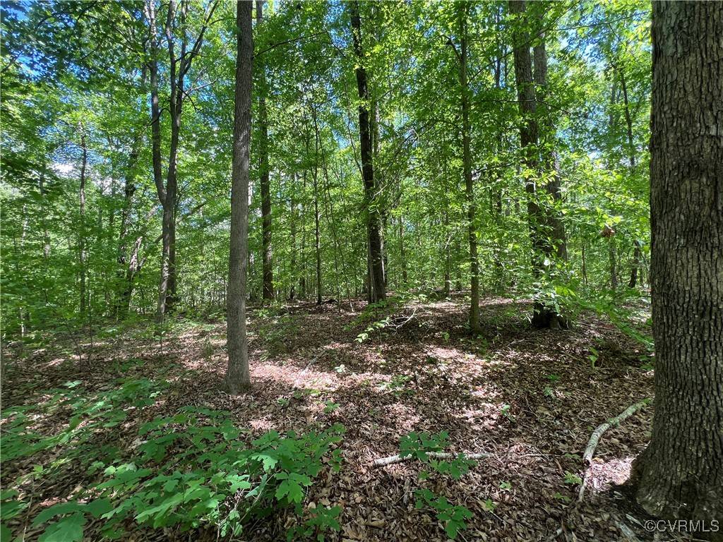 Powhatan, VA 23139,0 Ravenswood DR