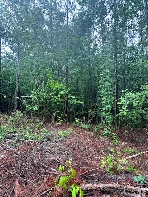 Greenville, VA 23847,0 Macedonia RD