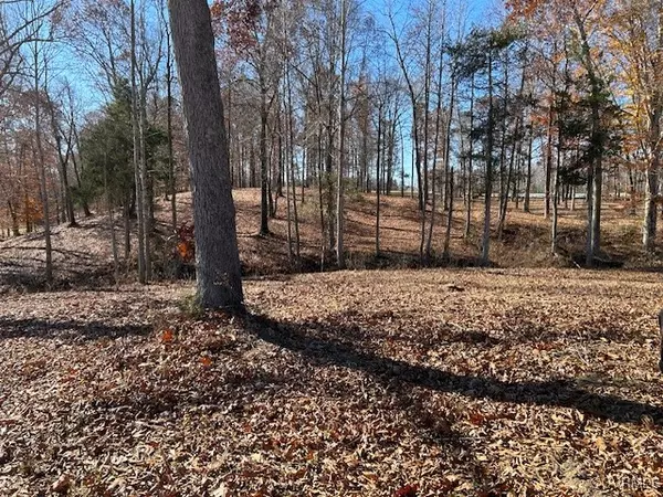 Orange, VA 22960,LOT 12 Bella Vista DR