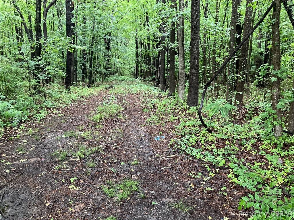 Mathews, VA 23109,19.42 Ac Main ST