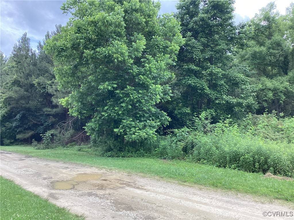 TBD County Line RD,  Disputanta,  VA 23842