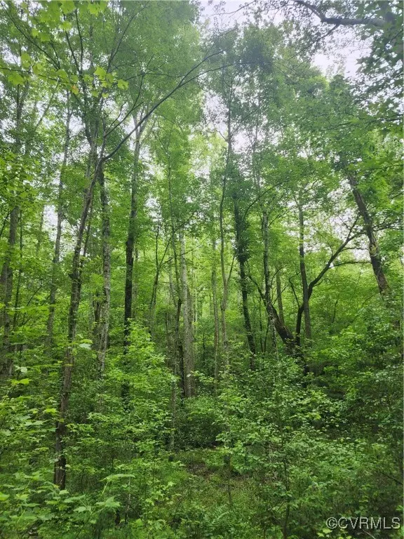 Lanexa, VA 23089,Lot 36 New Kent HWY