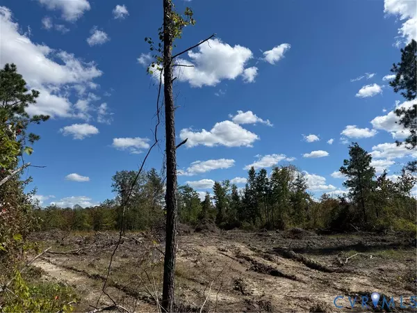 Spring Grove, VA 23881,14915 Lebanon RD