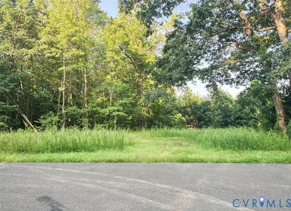 Louisa, VA 23093,Raw Land Nannie Burton
