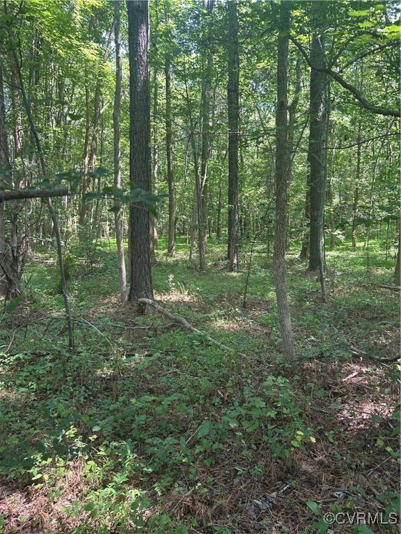 Amelia, VA 23002,0 Chula RD