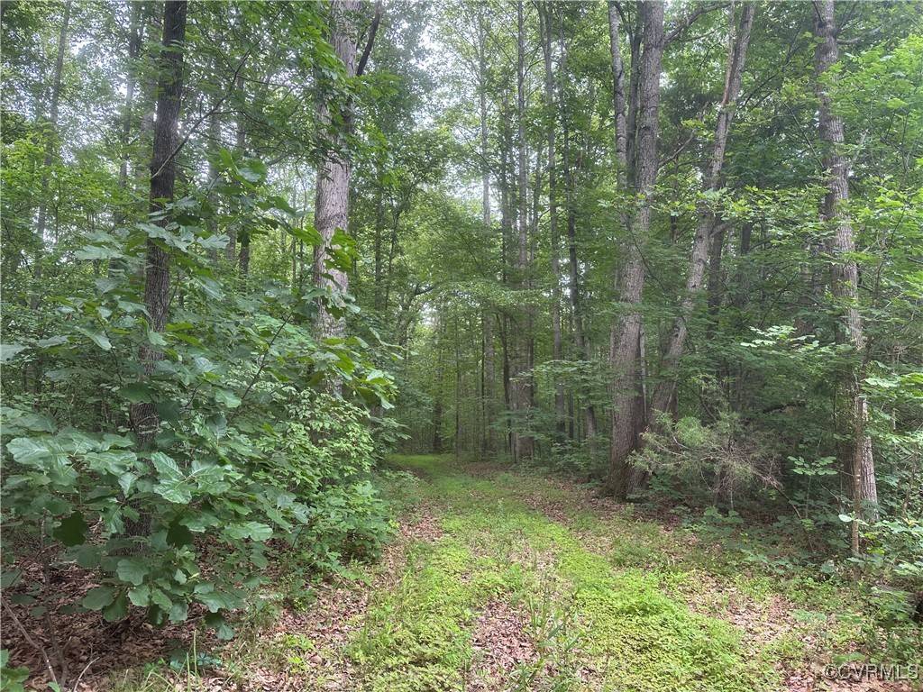 Dillwyn, VA 23936,0 Physic Spring RD