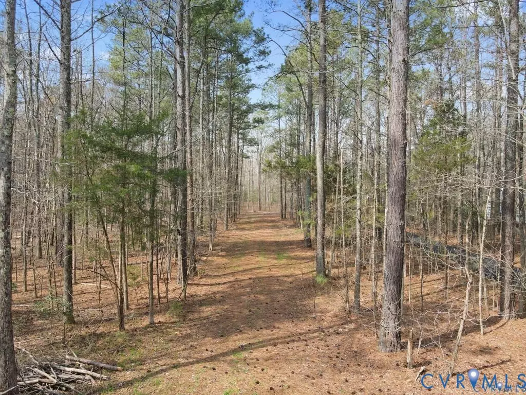 Henrico, VA 23231,7200 Strath RD