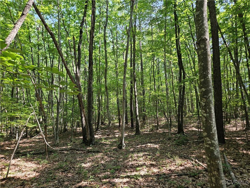 Wingina, VA 24599,5.6 Ac Meadow Creek RD