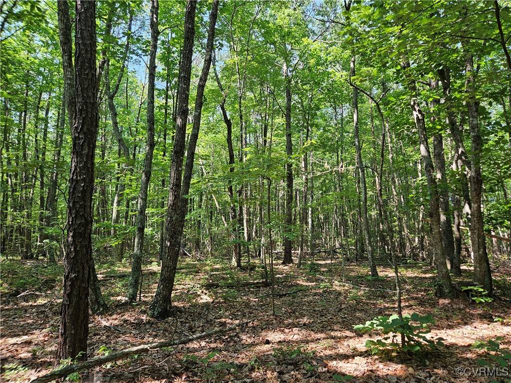 Wingina, VA 24599,5.6 Ac Meadow Creek RD