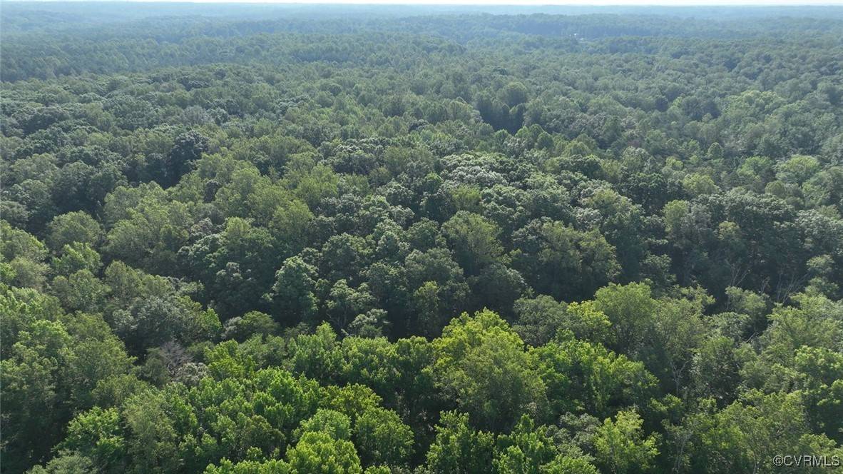 Crozier, VA 23039,03 Strawberry RUN