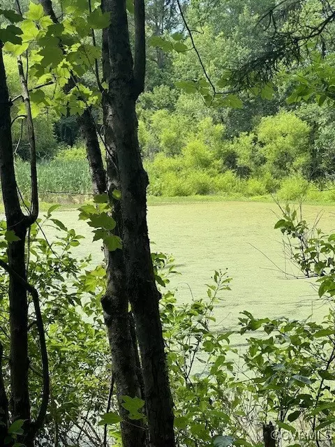 Beaverdam, VA 23015,Address not disclosed