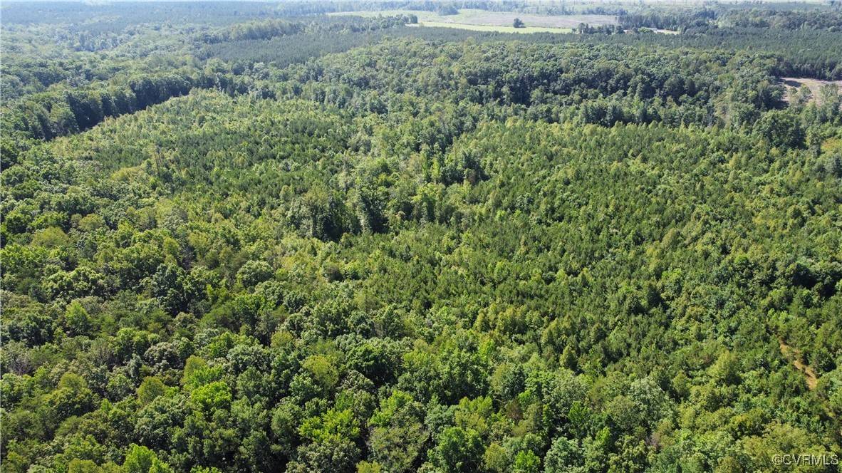 Ruther Glen, VA 22546,TBD Doris LN