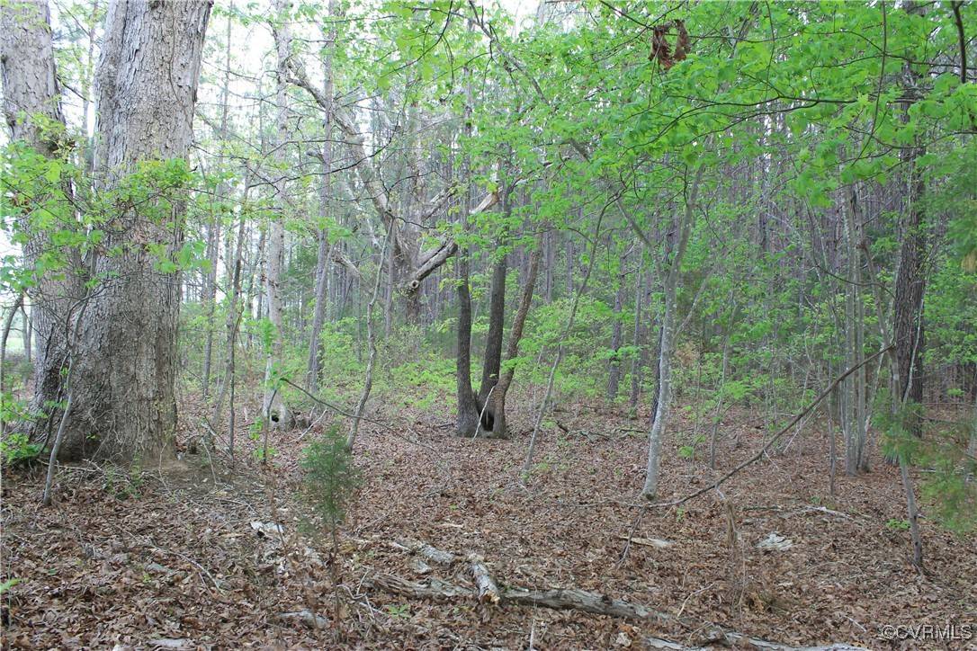 Brodnax, VA 23920,TBD Grandy RD