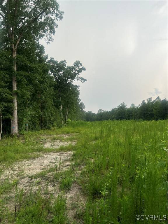 Waverly, VA 23890,26544 Oakdale RD