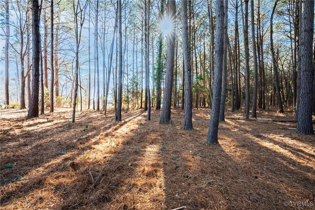 New Kent, VA 23124,TBD Old Quarter LN