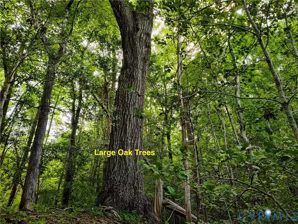 Brodnax, VA 23920,OFF Forksville Rd.