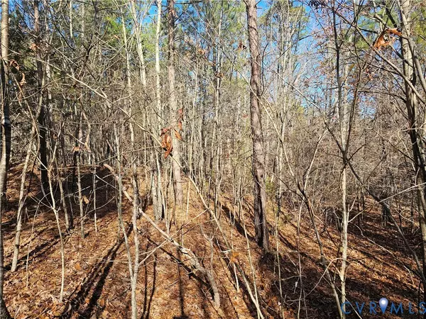 Crewe, VA 23930,0 W Courthouse RD