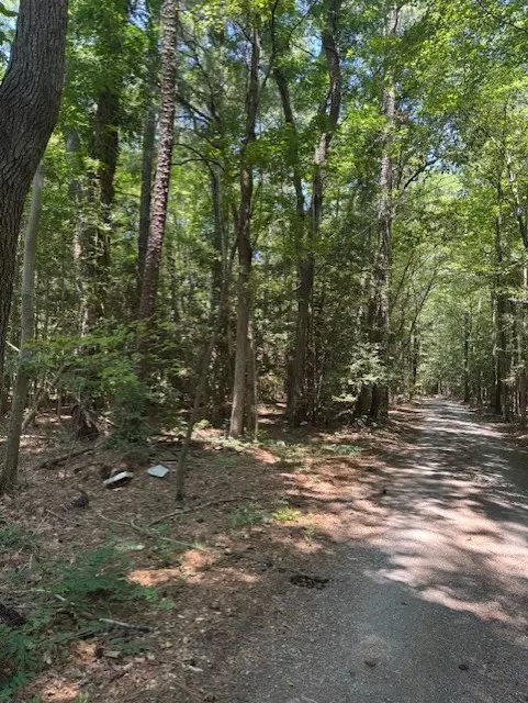 Hudgins, VA 23076,0000 Old Ferry RD