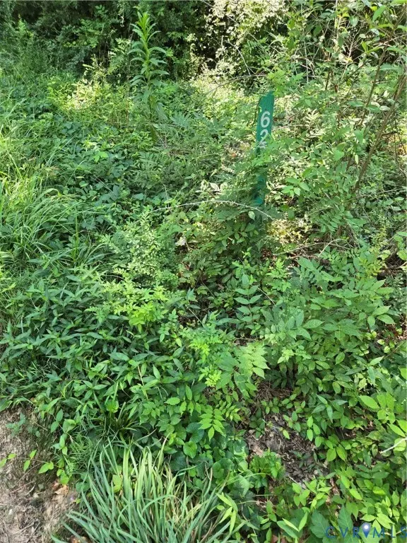 Charlotte Courthouse, VA 23923,595 Woodfork RD