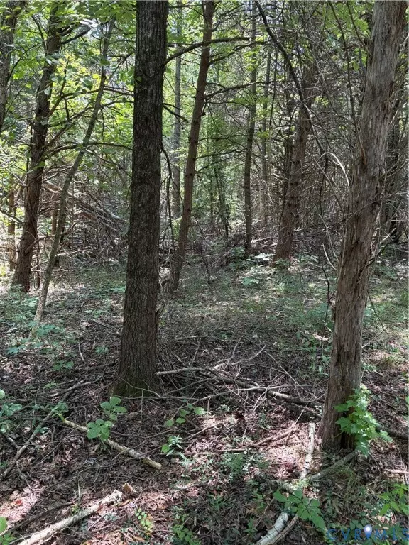 Cumberland, VA 23901,0 cumberland RD