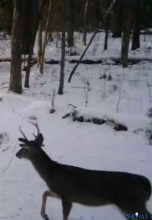 Powhatan, VA 23139,261 Petersburg RD