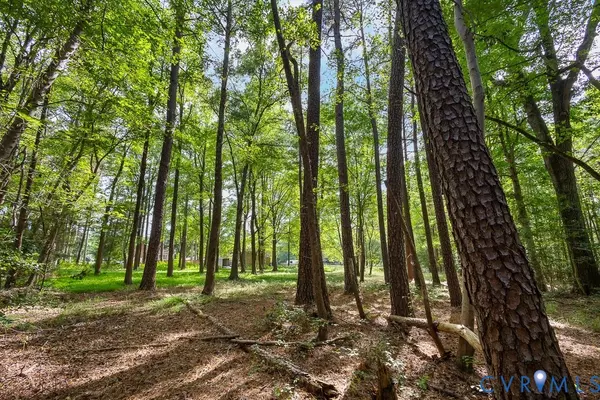 Chester, VA 23831,12800 Lewis RD