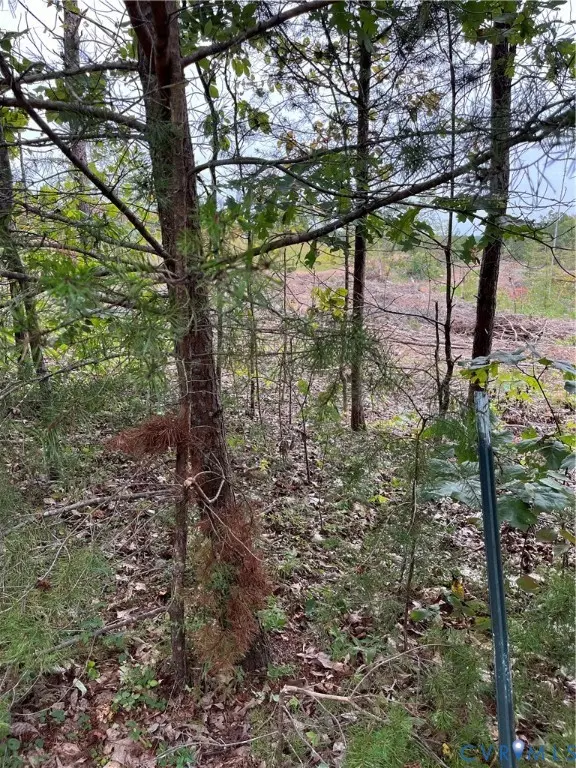 Buckingham, VA 23901,0028 Aspen Grove RD