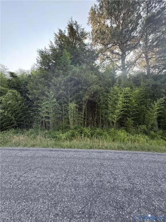 Woodford, VA 22580,0 Cedon RD