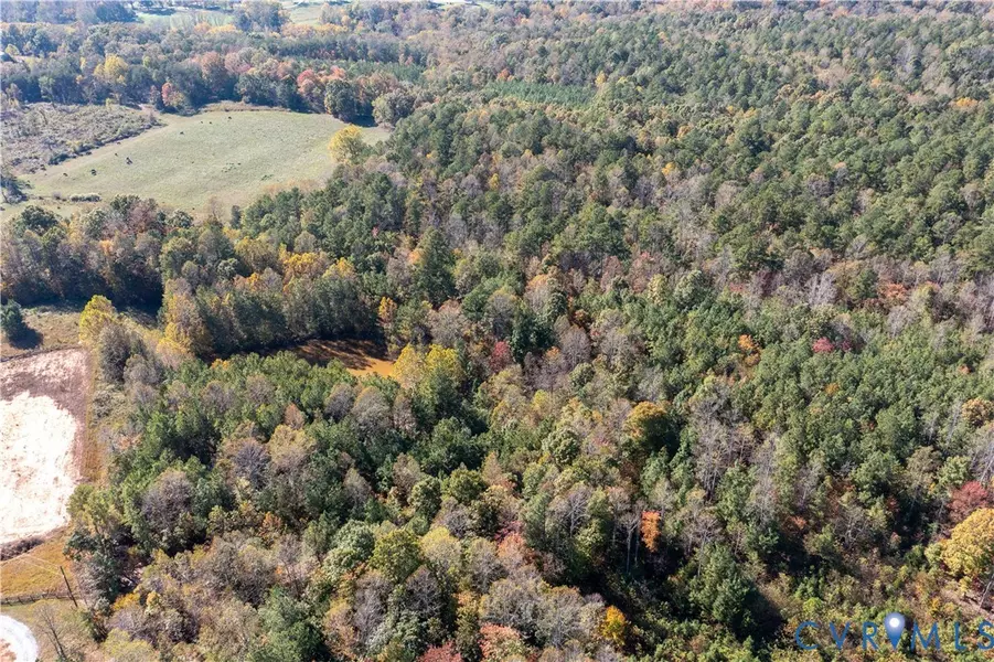 11.34 Acres Scotts Bottom RD, Arvonia, VA 23004