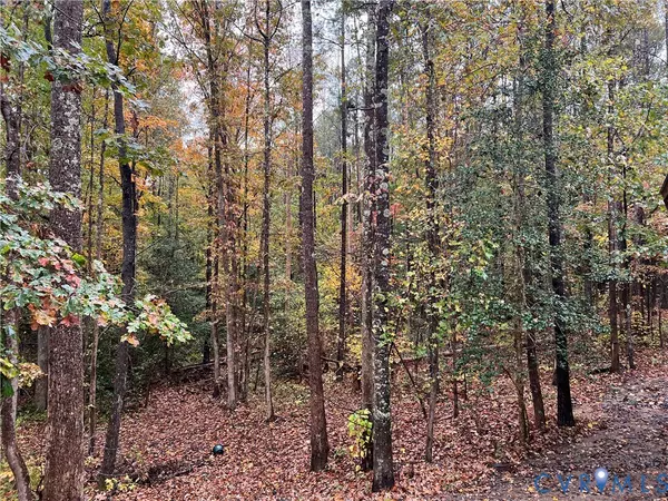 Dinwiddie, VA 23841,11751 Dance DR